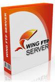 cover for Wing FTP Server